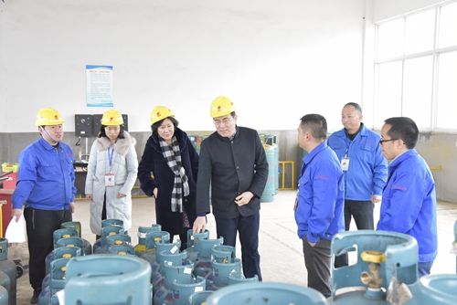 嘉燃集團開展安全生產專項檢查.JPG 嘉燃集團開展安全生產專項檢查.JPG